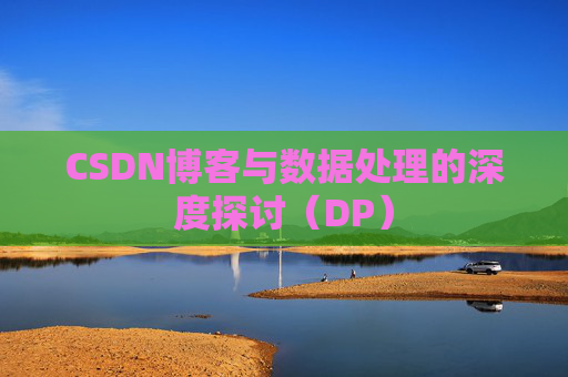 CSDN博客与数据处理的深度探讨（DP）
